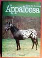 Der Appaloosa Hodenberg, Karola von Buch