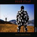 2 Cd PINK FLOYD - DELICATE SOUND OF THUNDER Box Set Booklet nuovo digipak