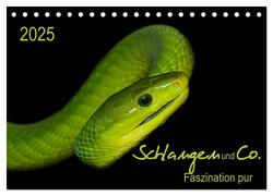 Schlangen und Co. - Faszination pur (Tischkalender 2025 DIN A5 quer), CALVENDO M