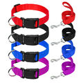 Nylon Hundehalsband Welpenhalsband Halsband mit Leine Hunde Halsbänder XS S M L