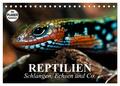 Reptilien. Schlangen, Echsen und Co. (Tischkalender 2025 DIN A5 quer), CALVENDO 