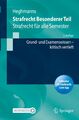 Strafrecht Besonderer Teil: Strafrecht für alle Semester – Grund- und Exame