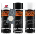 Lack Spraydosen Set Kunststoff für Buick Cadillac Chevrolet 12 Apline White