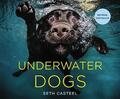 Unterwasserhunde von Seth Casteel (englisch) Hardcover-Buch