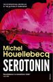 Serotonin | Michel Houellebecq | 2020 | englisch