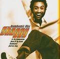 Boombastic Hits von Shaggy | CD | Zustand sehr gut