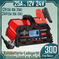 25A 12V 24V Samrt Batterieladegerät Reparatur Batterie Ladegerät for 12V Lifepo4