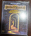 Die Ruinen im Unterberg Forgotten Realms AD&D Advanced Dungeons & Dragons