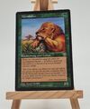 Mtendalöwe Trugbilder Magic Karte  MTG  deutsch (Mtenda Lion)