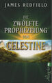 DIE ZWÖLFTE PROPHEZEIUNG VON CELESTINE - Das Vermächtnis - James Redfield BUCH