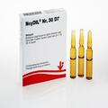 NEYDIL Nr.30 D 7 Ampullen 5X2 ml PZN 6486742