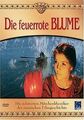 Die feuerrote Blume von Irina Powolozkaja | DVD | Zustand sehr gut