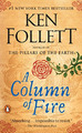 Feuersäule: Ein Roman (Kingsbridge-Roman, 03) - Follett, Ken