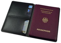 Reisepass Hülle Etui Mappe Schwarz EC Kartenhülle Reisetasche Lederoptik TOP