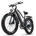 eBike 26 Zoll E-fahrrad 1000W E-Mountainbike Fatbike 960Wh Elektrofahrrad