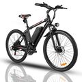 E-Mountainbike 250W Elektrofahrrad 26 Zoll E Bike 21 Gänge Trekking Ebike E-MTB