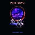 Pink Floyd: Delicate Sound Of Thunder: Live - Warner  - (CD / D)