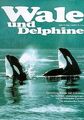 Wale und Delphine. Entwicklung, Biologie und Verbre... | Buch | Zustand sehr gut