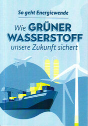 Wie grüner Wasserstoff unsere Zukunft sichert Nationale Wasserstoffstrategie