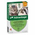 Advantage® 40 mg für kleine Katzen und Zierkaninchen · 4X0.4 ml · PZN 09670096