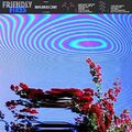 Friendly Fires - Inflorescent - Friendly Fires CD 1WVG FREE Shipping