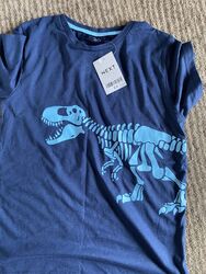 T-Shirt Alter 8 Jungen Next Dinasaur von Next