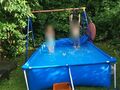 Bestway Steel Pro Frame Pool Set mit Filterpumpe, eckig - 300x201x66cm, Blau...