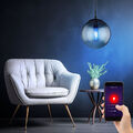 Hängeleuchte Pendelleuchte Kugellampe Smart RGB LED dimmbar App CCT Rauchglas