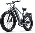 26 Zoll Elektrofahrrad 1000W Ebike Mountainbike Fatbike E-Fahrrad 45km/h Pedelec