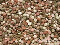 1Kg PROFI MIX 15 Sorten Welstabletten Futtertabletten  Zierfischfutter Aquarium