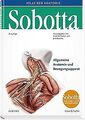 Sobotta, Atlas der Anatomie  Band 1: Allgemeine A... | Buch | Zustand akzeptabel