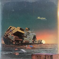 Samiam Stowaway (Vinyl) 12" Album (US IMPORT)Ein weiterer großartiger Artikel von Rarewaves USA