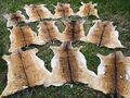 Damwild Bambi Damwild Reh Wild Damhirsch HirschFell Larp Mittelalter Brau 2.Wahl