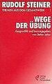 (Steiner, Rudolf): Rudolf Steiner Themen aus dem Gesamtw... | Buch | Zustand gut