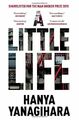 A Little Life by Yanagihara, Hanya 1447294815 FREE Shipping