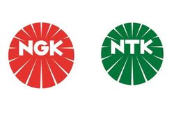 NGK/NTK AGR Ventil Stahl Für DACIA MITSUBISHI NISSAN OPEL VOLVO 95-14 M616666