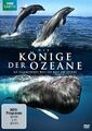 BBC Earth: Die Könige der Ozeane - DVD-NEU