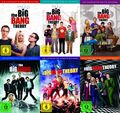 The Big Bang Theory (1/2/3/4/5/6 Staffel 19 DVDs) Johnny Galecki, Jim Parsons