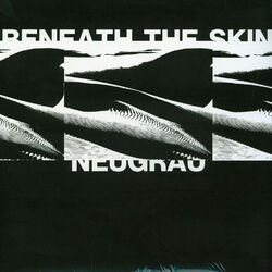 NeuGrau - Beneath The Skin (Vinyl 12" - 2020 - EU - Original)