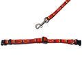 Hundehalsband rot Halsband Welpenhalsband mit Leine Welpe Hunde Hundeleine