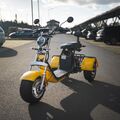 E-Scooter Citycoco Elektroroller Roller mit Straßenzulassung StVZO Trike Chopper