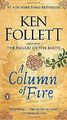 A Column of Fire: A Novel (Kingsbridge, Band 3) von Foll... | Buch | Zustand gut