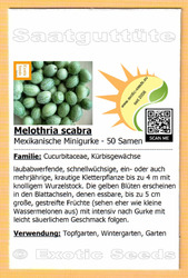 🥒 Melothria scabra - Mexikanische Minigurke - Mexican Sour Gherkin - 50 Samen