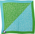 GANT Damen Seidenschal D1. ICON G COLOR BLOCK SILK SCARF, grün-blau, ONE SIZE