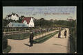 Ansichtskarte Chemnitz, Rosarium im Stadtpark 1925 