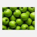 Grüne Apfelpracht: Hochwertiges Foto | Wandbilder