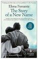 Die Geschichte eines neuen Namens: Buch 2 von Elena Ferrante (Taschenbuch, 2013)