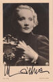 MARLENE DIETRICH Original Autogramm signierte Ross Postkarte Portrait 30er Jahre