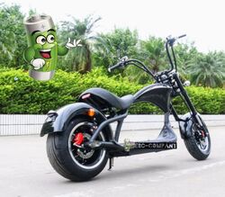 Elektroroller E-Scooter Coco 45kmh Straßenzulassung Chopper 2000W 60v 200kg 