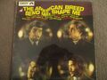 THE AMERICAN BREED - BEND ME, SHAPE ME - LP - DOT RECORDS - LPD502 - UK - 1968